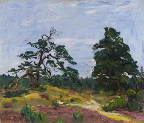 Heath and Trees